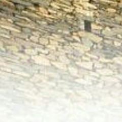 الحياة