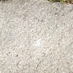 !?