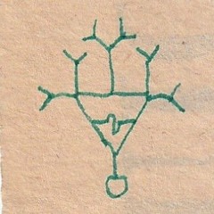 pinko.fibers