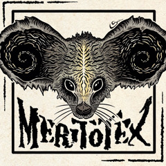 Meritotex