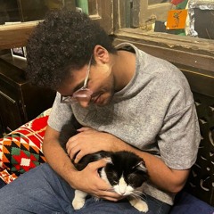 Abdelrahman A. Al Shahat