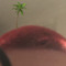 AV §