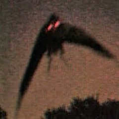 MOTHMAN