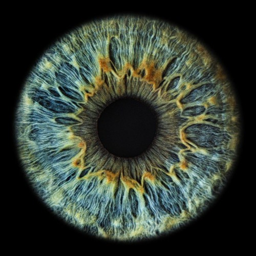 Exodus - for Violin, Violincello & Orchestra