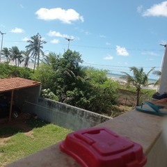 Larinha
