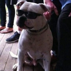 Louie.evans0905
