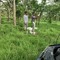 lalith