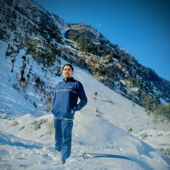 Dima Maher