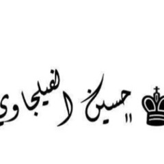 حسين الفيلجاوي