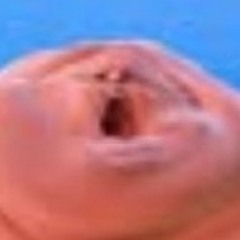 ihaveNOidea
