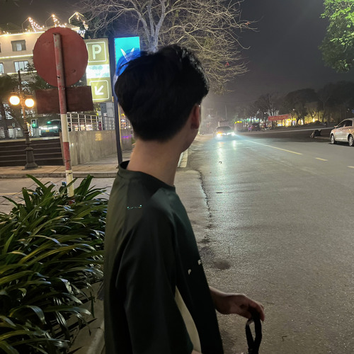 Vi Khánh Toànn’s avatar