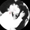 اغليك واجد ليت تدري 🥀