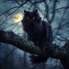 slay  cat  Tigger &  Taco