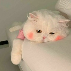 linh