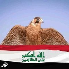 لأول مره الشيخ محمود التهامي والمنشد محمد طارق - قمر حفل إنطلاق أوركسترا الإنشا.mp3
