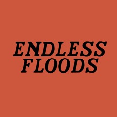 Endless Floods