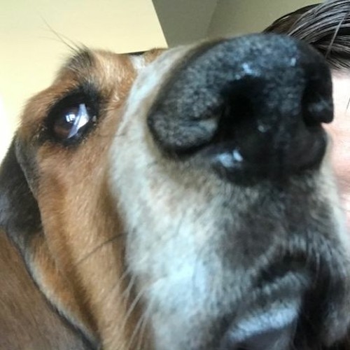 DJ Obviously's Deep Cuts