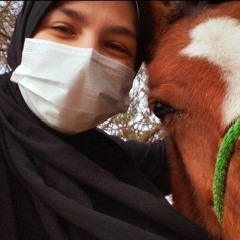 رُقرق