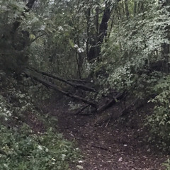 разнесимнеебало