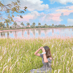 Vũ Lann Anh
