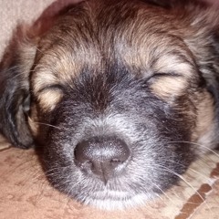 Callejeros - Enganchados 25 HITS.m4a