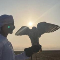 خليفة المنصوري
