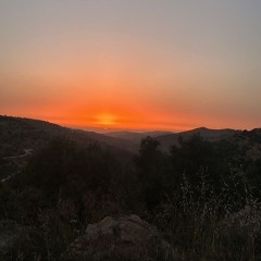 Saja
