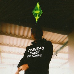 Wildwxve