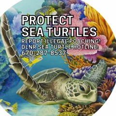 CNMI Sea Turtle Program