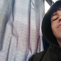 Vini