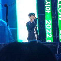 brace lee