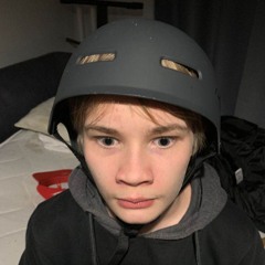 MöyhiväBiisoni