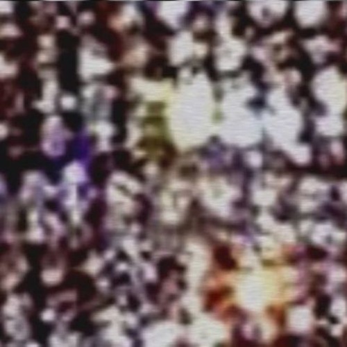 хестон - pay