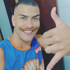 nelsin