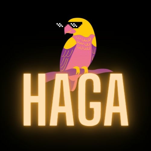 Haga The Bass’s avatar