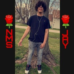 Nms Jay