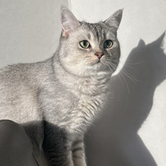 namnider