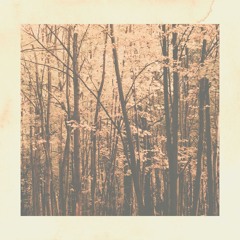 Sense Tapes // DavidSenn