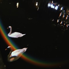 ཟིམ།ེཛ་