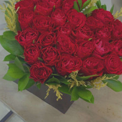 ﴿ ⌯ سمــو الــذوق ~ ♩🇰🇼 ﴾