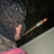 Anqel6abyEP