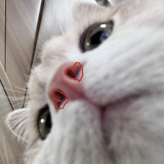 Vũ Đình Tuấn