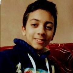 احمد محمد الجارحى