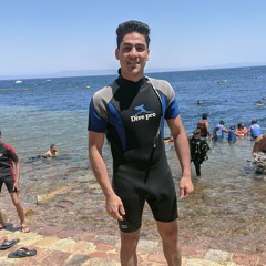 Ahmed Elshamy