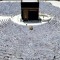 حسام أبوضيف