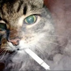 ckypeннЫй backwood