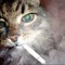 раскуренный backwood