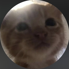 지윤
