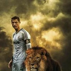 الصولحي محمود