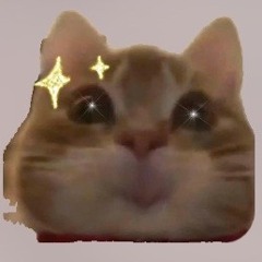 ruanwuy_